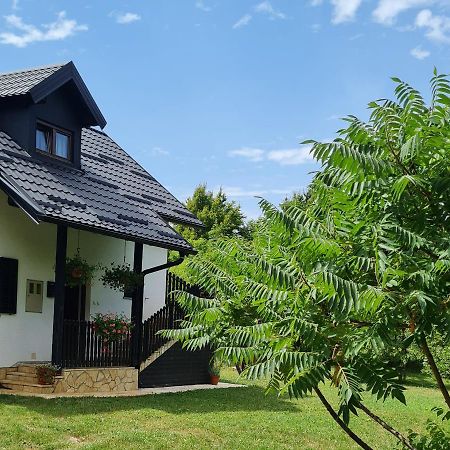 Apartman Poznanovic Appartement Rakovica Buitenkant foto