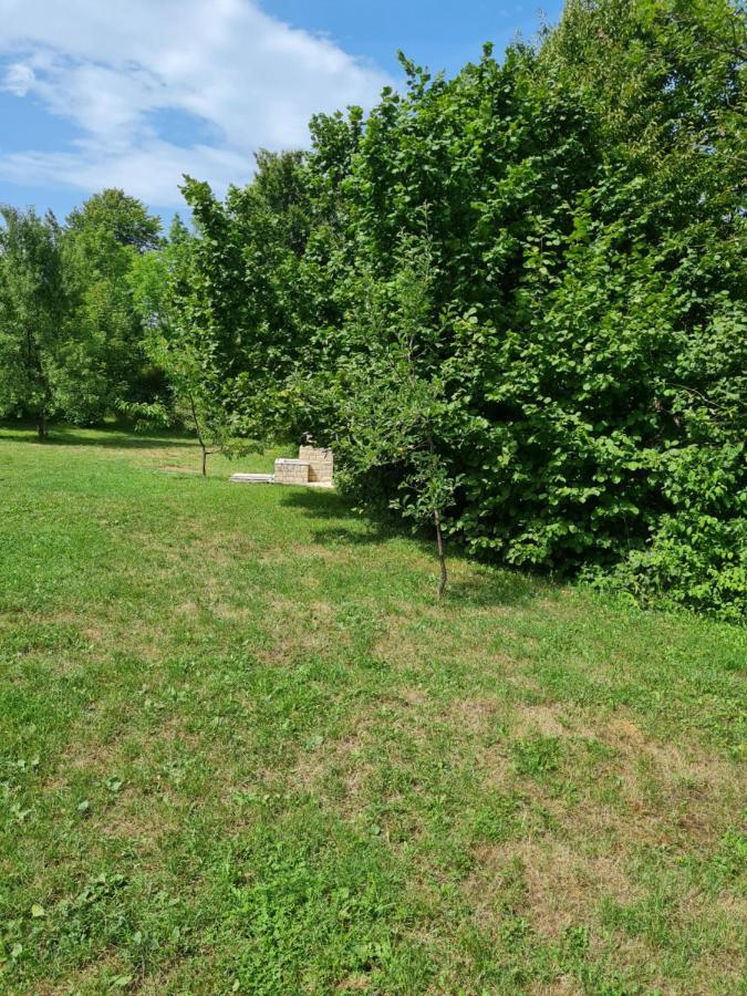 Apartman Poznanovic Appartement Rakovica Buitenkant foto